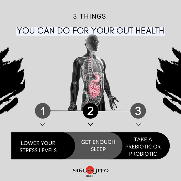 Gut Health and The Importance of Our Microbiome